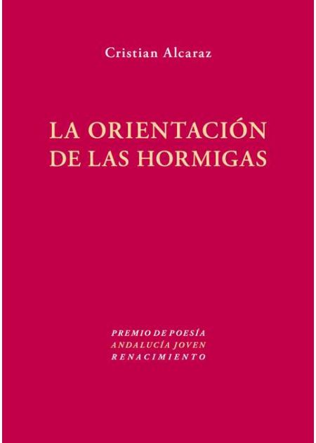 La orientación de las hormigas