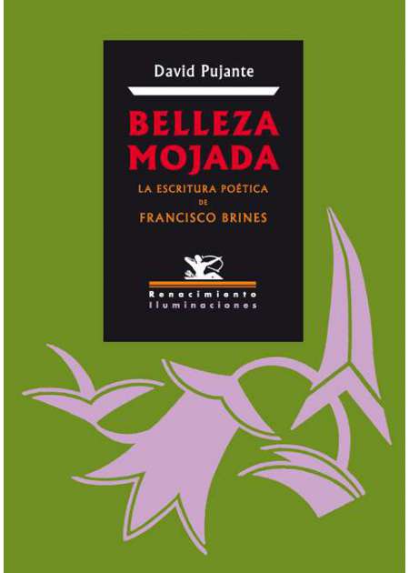 Belleza mojada - Ebook