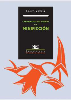 Cartografías del cuento y la minificción - Ebook