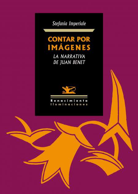 Contar por imágenes - Ebook