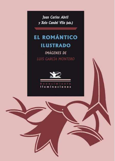 El romántico ilustrado - Ebook