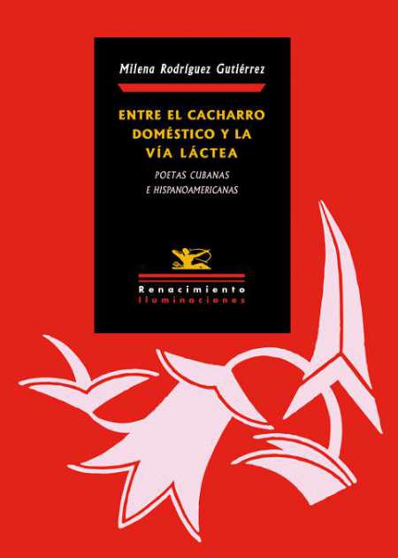 Entre el cacharro doméstico y la Vía Láctea - Ebook