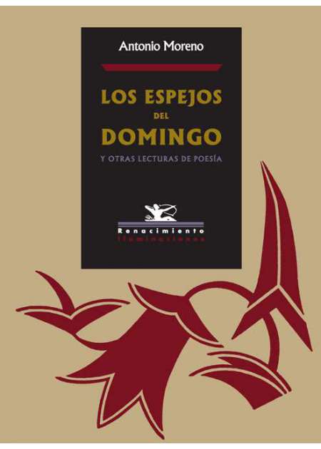 Los espejos del domingo y otras lecturas de poesía - Ebook