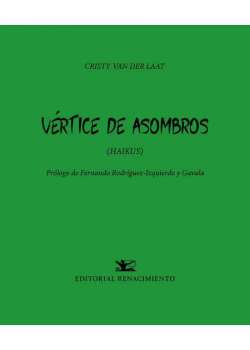 Vértice de asombros