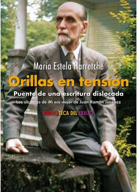 Orillas en tensión. Puente de una escritura dislocada